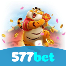 Segurança no 577bet