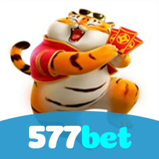 Segurança no 577bet